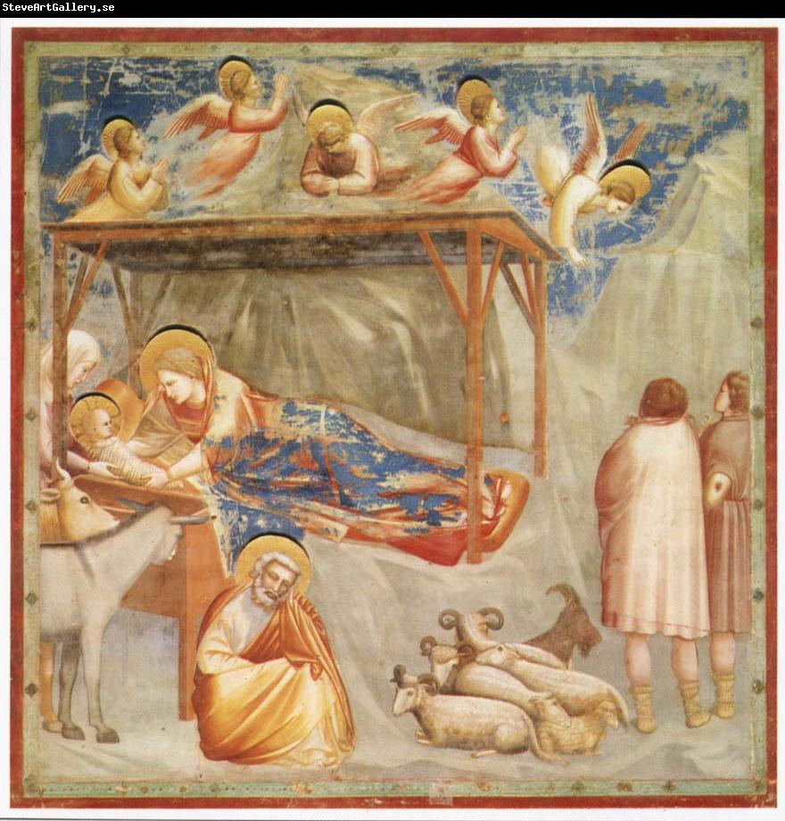 GIOTTO di Bondone Birth of Christ